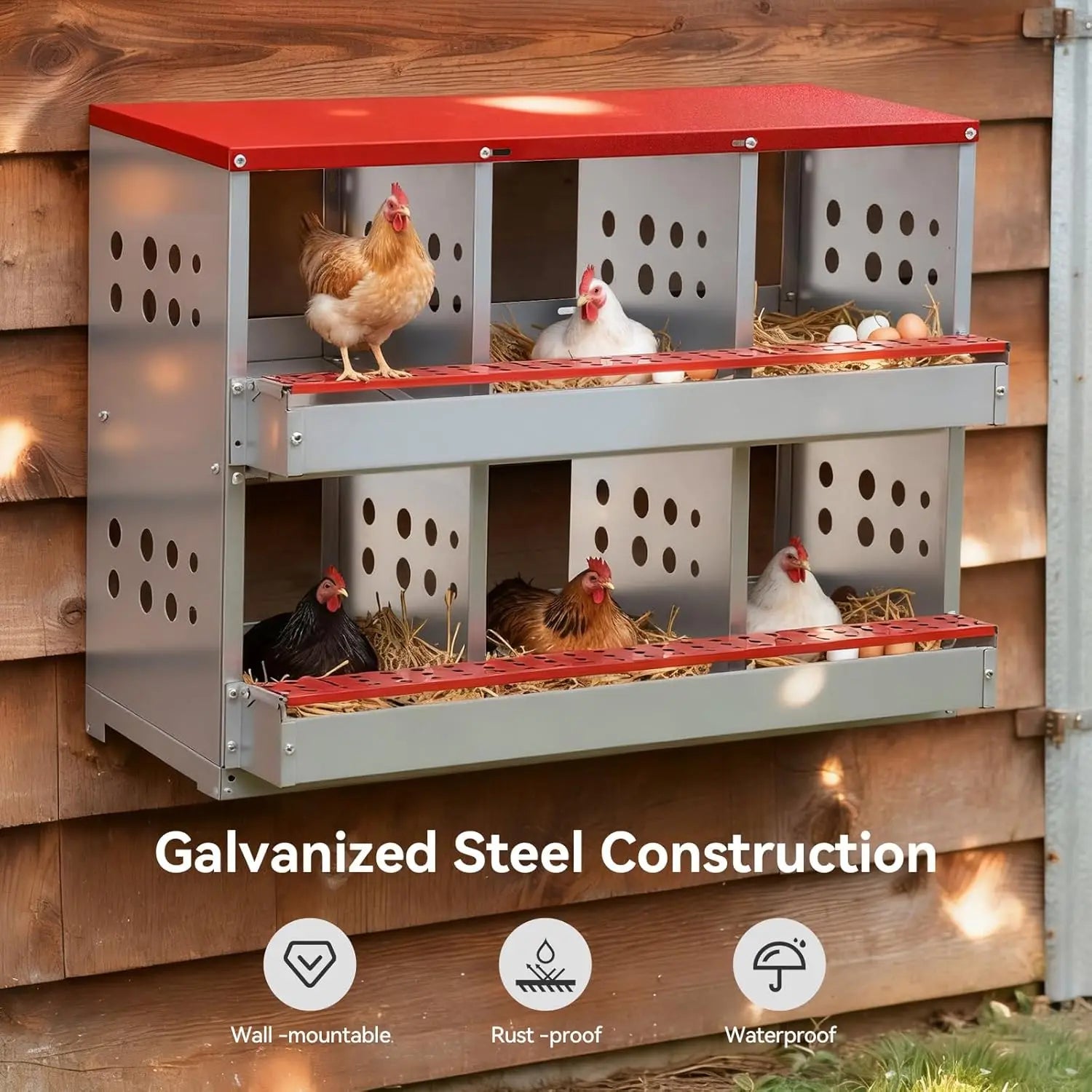 Cajas de Anidación para Gallinas 6 Compartimentos