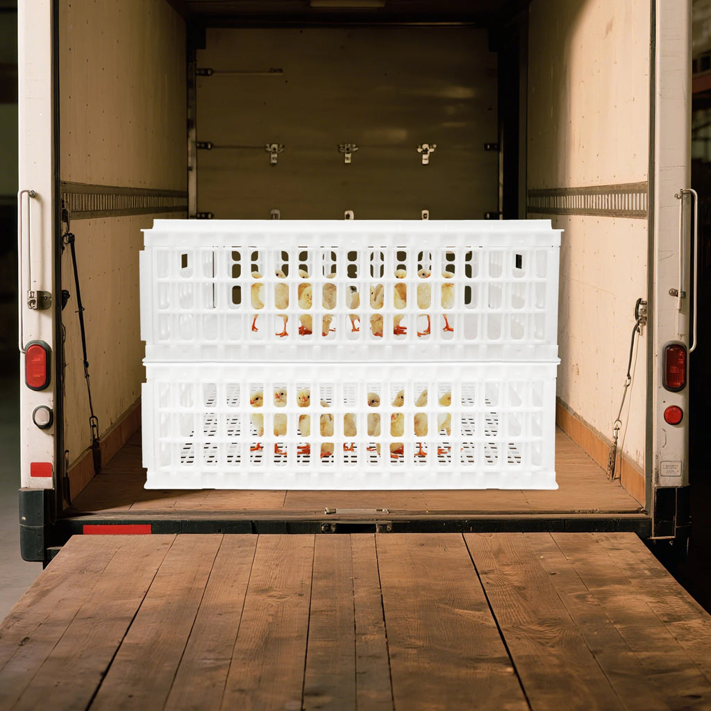 Jaula Plástica de Transporte para Pollos 2 uds