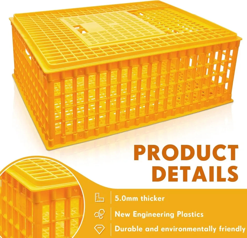 Jaula de Transporte para Pollos – Pack 2