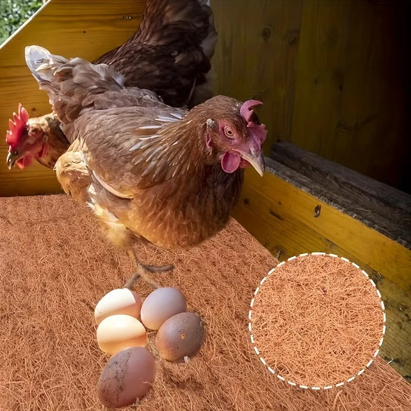 Alfombrillas Ecológicas de Nido para Gallinas Reutilizables