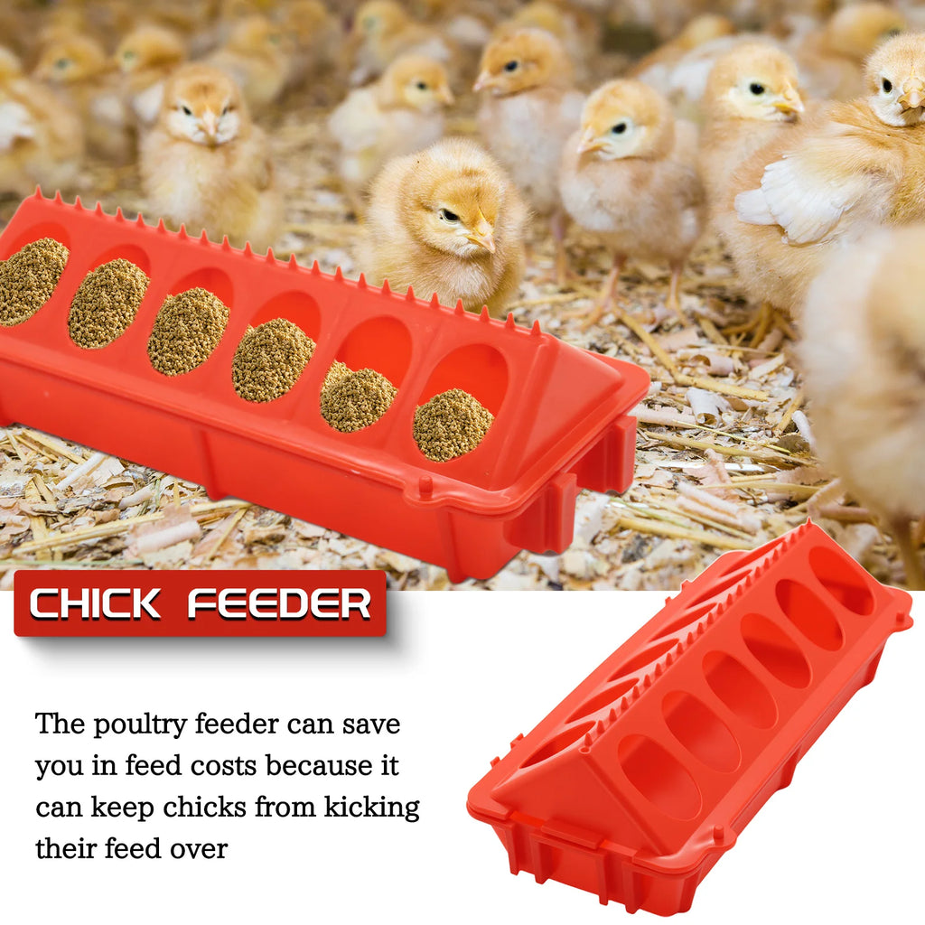 Comedero Lineal y Bebedero 1L Automático para Gallinas