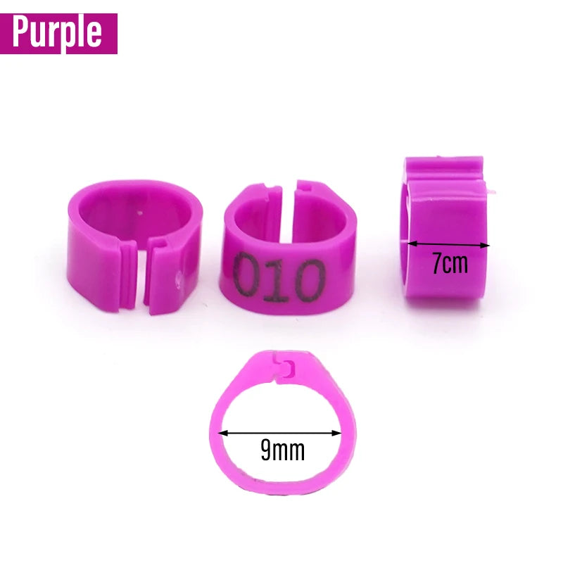 Anillos para Pies de Paloma y Aves de Corral – Pack 100