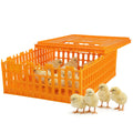 Jaula de Transporte para Pollos – Pack 6 Apilable