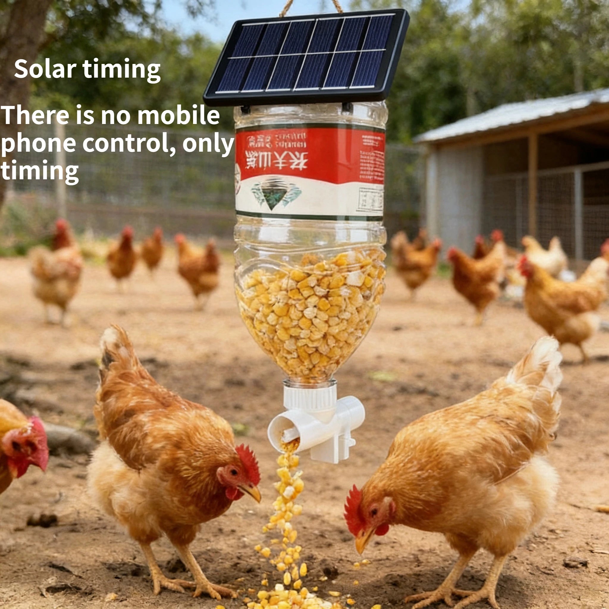 Alimentador Automático WiFi Programable para Gallinas