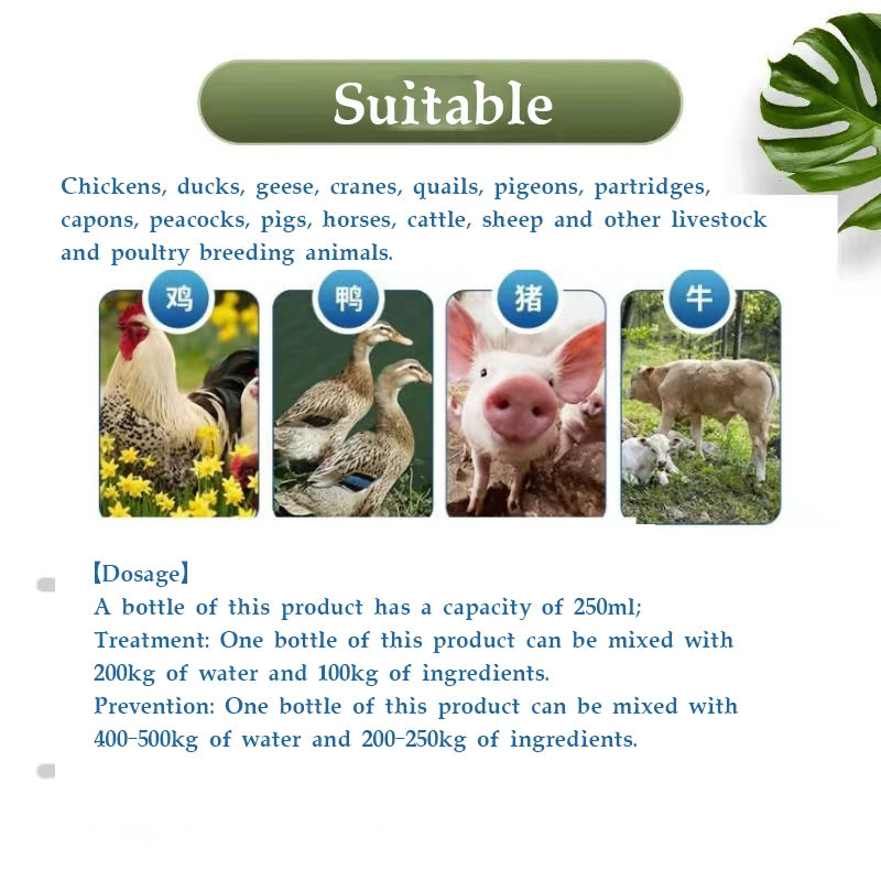 Suplemento Nutricional 250ml para Articulaciones y Respiración en Gallinas