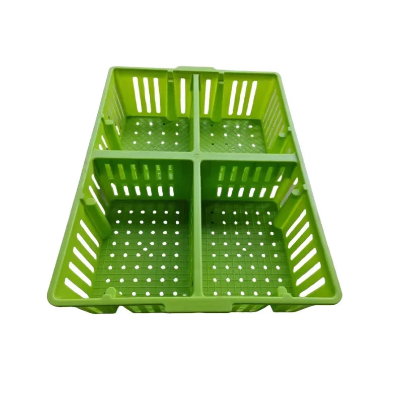 Jaula de Transporte de Plástico para Pollitos