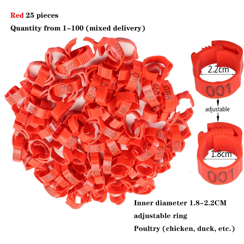 Anillos para patas de pollo, cierre de etiqueta de plástico ajustable para patas de aves de corral, Clip de trinquete Digital, herramienta de alimentación para granja de patos, palomas y gansos, 25/100