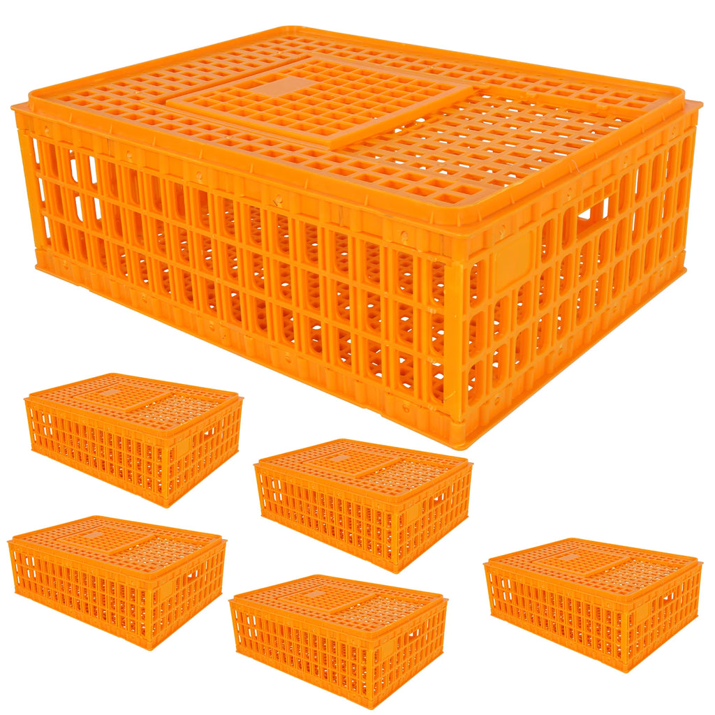 Caja de Transporte para Pollos – Pack 6