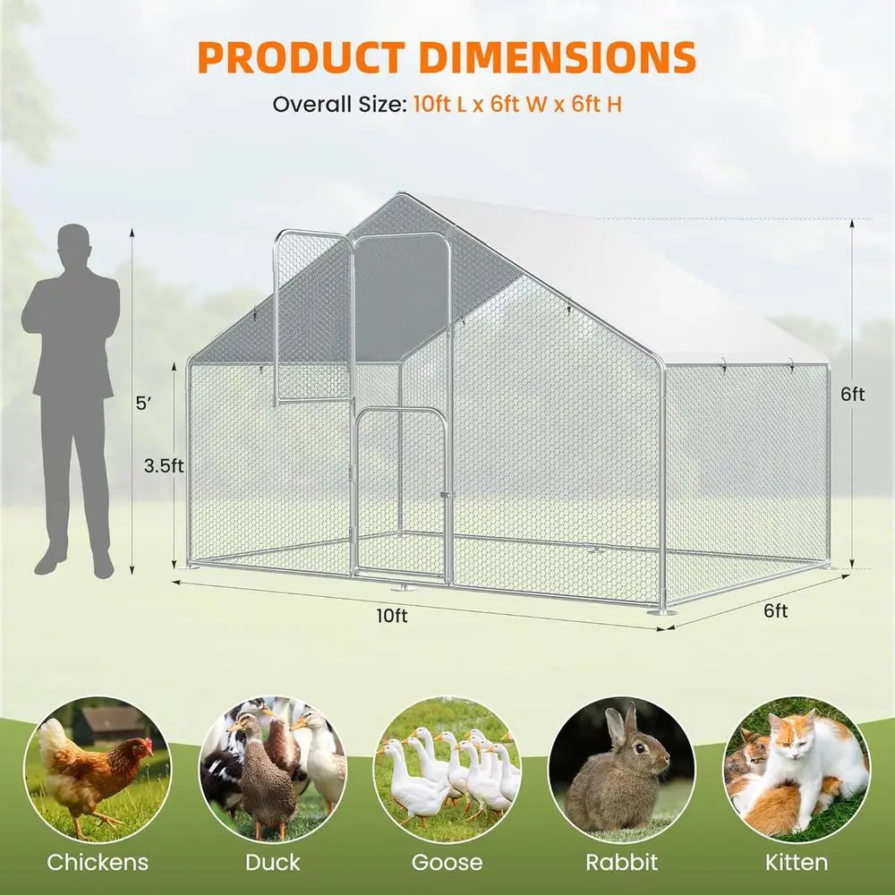 Gallinero Exterior Resistente para 10-15 Pollos