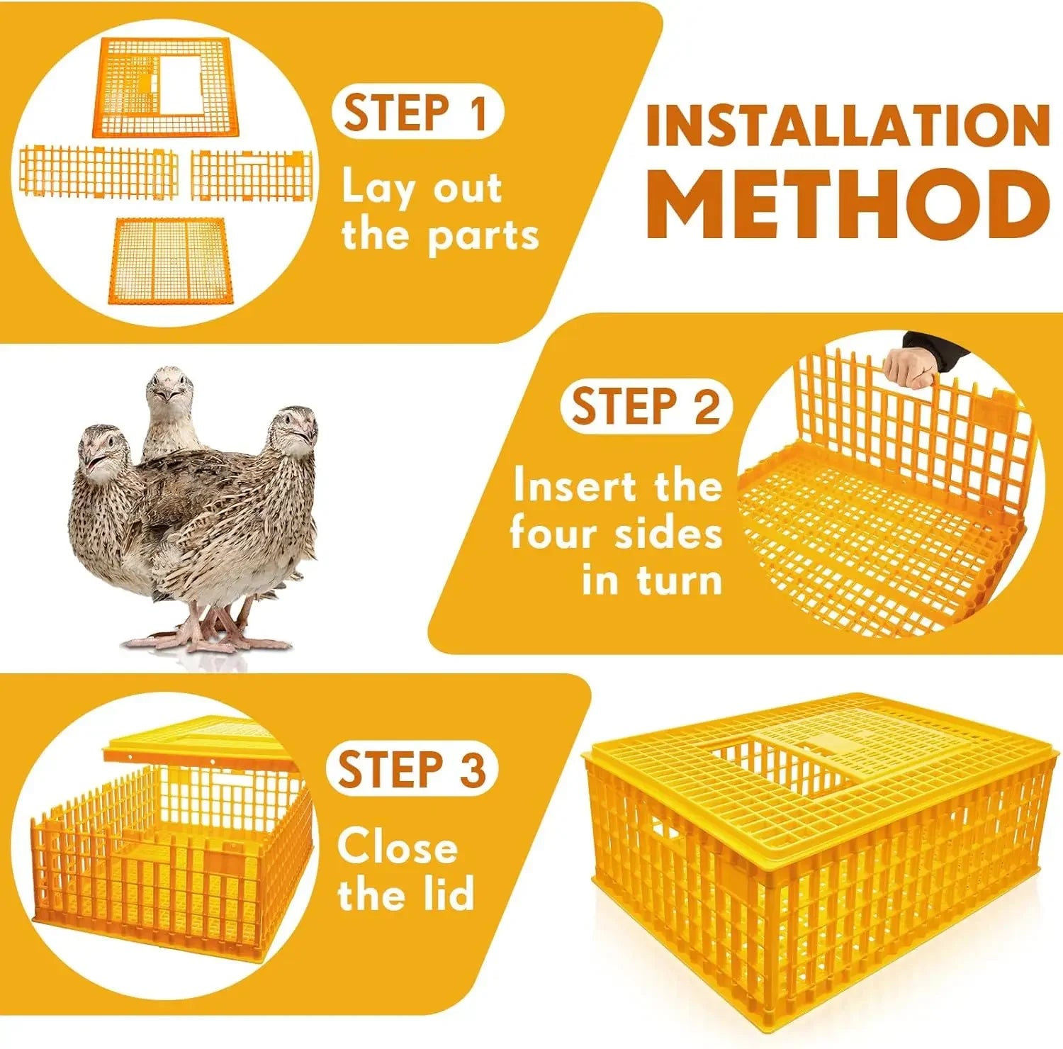 Jaula de Transporte de Plástico para Pollos – Pack 2