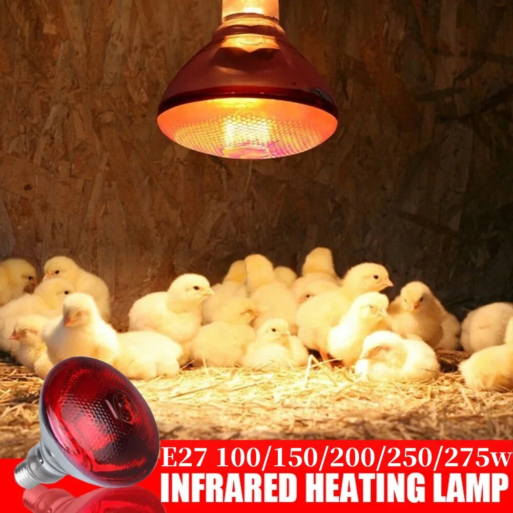 E27 Poultry Heating Lamp Breeding Bulb For Pigl High Quality 100/150/200/250/275W LED Light Pet Brooder Hatch Chick Heater Bulb