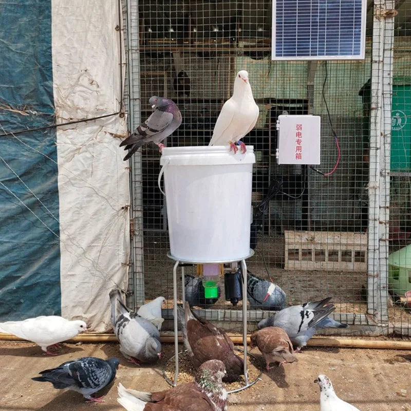 Alimentador Automático de Pellets para Aves