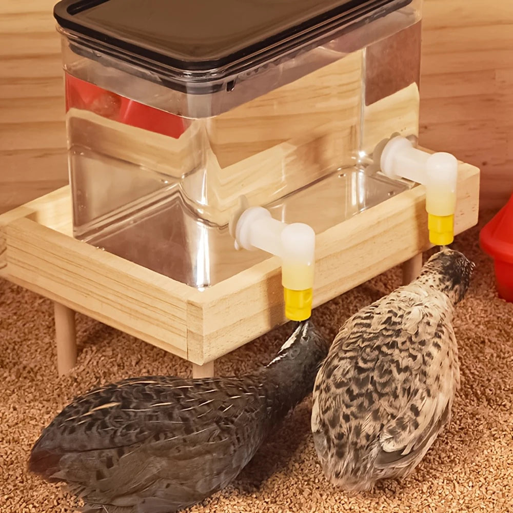 Bebedero Económico 800ml para Pollos con Tetinas Dobles
