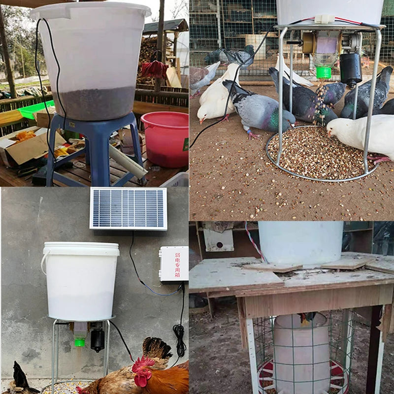Auto Feeder Auto Chicken Feeder Pellet Funnel Pigeon Chicken Duck Carrier Pigeon Automatic Chicken Feeder Pigeon 200-900g/Min