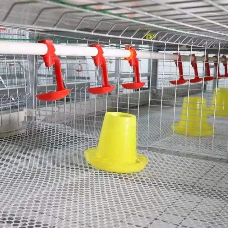 Gallinero Profesional para Pollos de Engorde