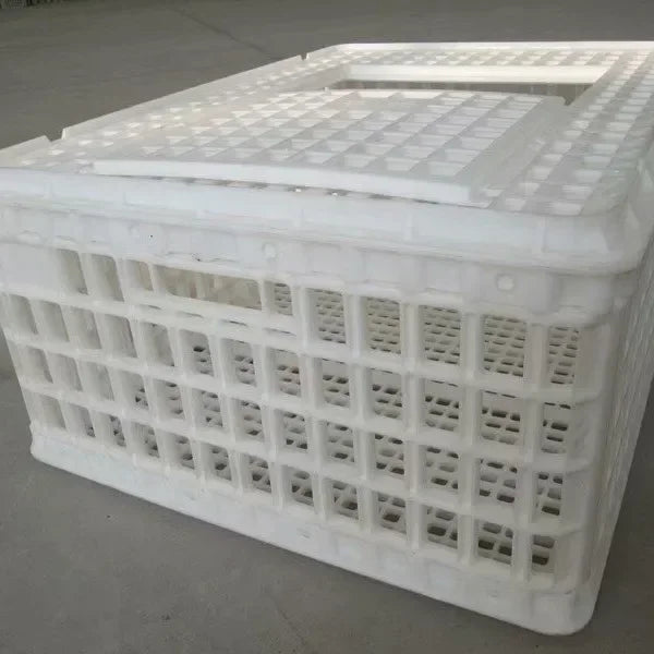 Caja de Transporte de Pollo de Plástico