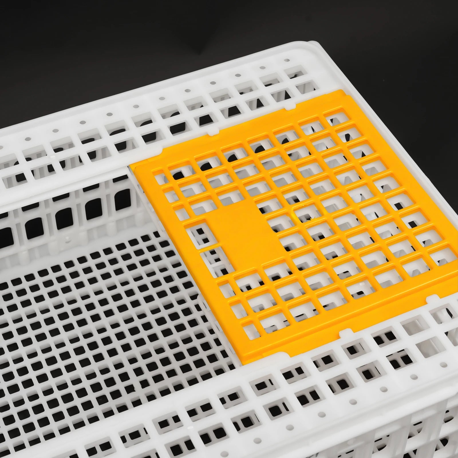 Jaula Plástica de Transporte para Pollos 2 uds