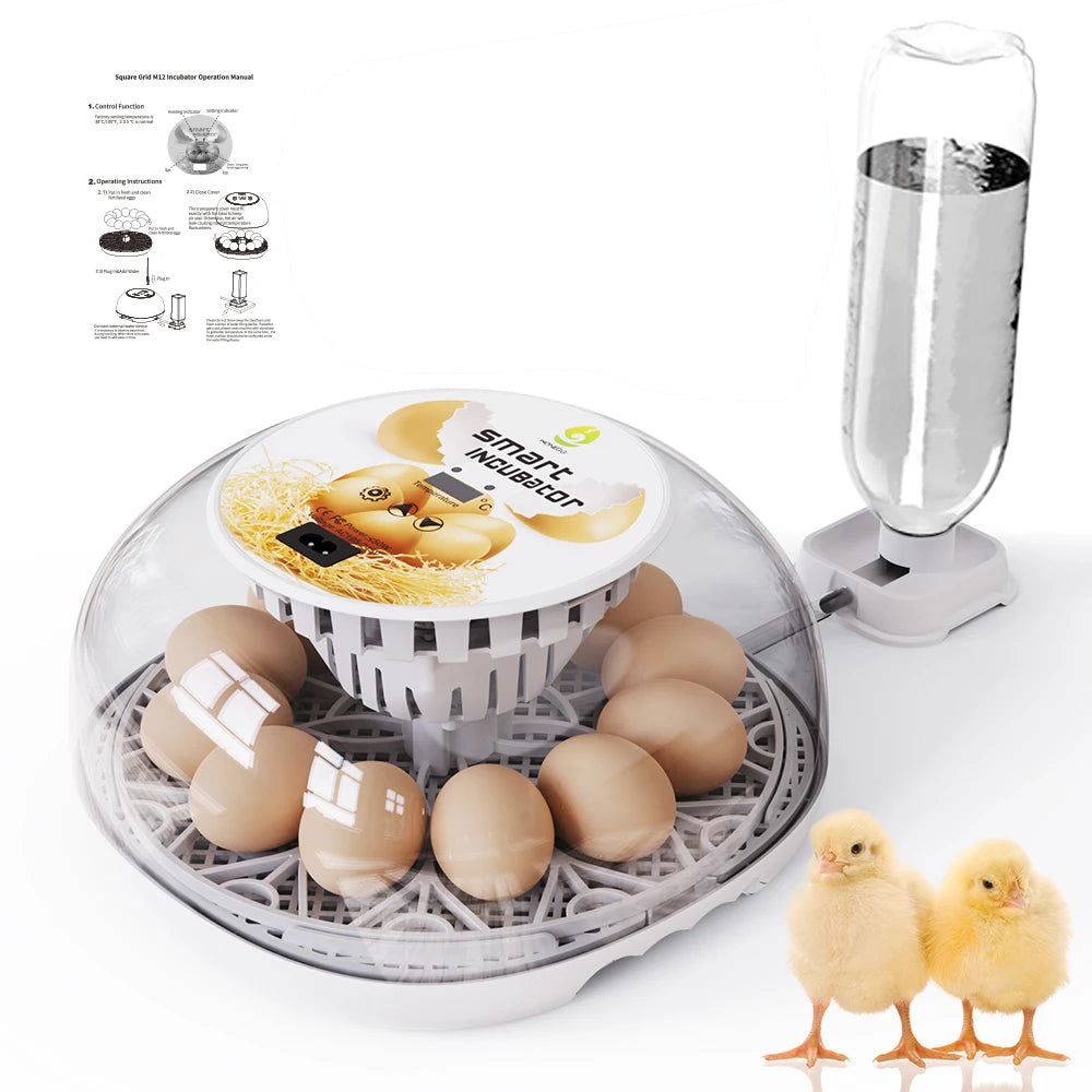 Incubadora de huevos de ganso y pollo pequeño para el hogar, agregue automáticamente el agua, Control inteligente de temperatura, 12 incubadoras