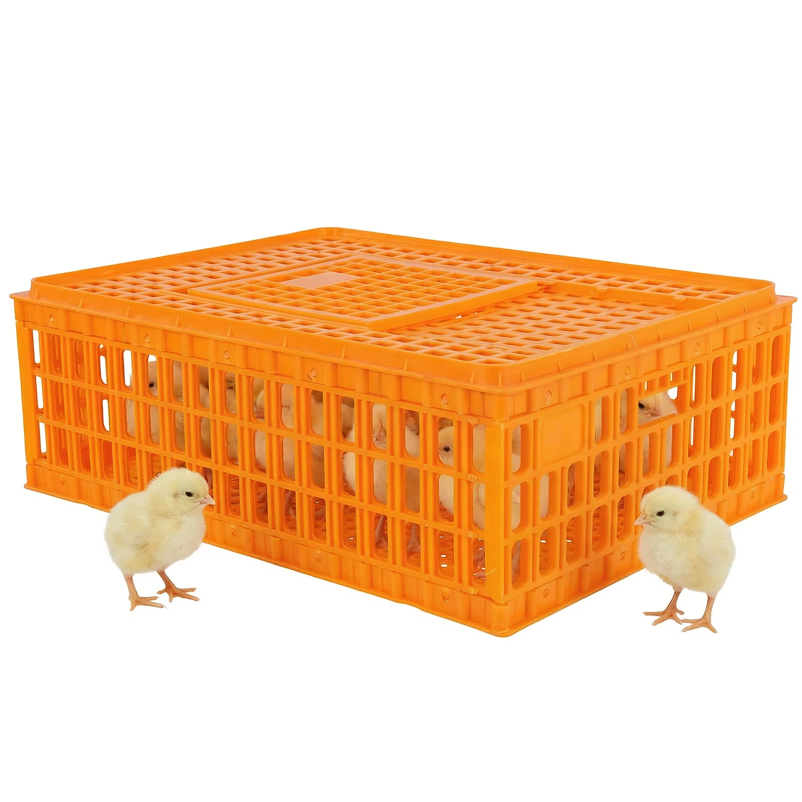 Jaula de Transporte de Plástico para Pollos