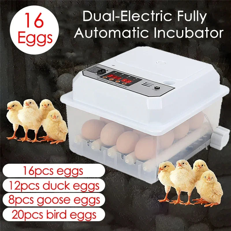 16 Eggs Farm Poultry Fully Automatic Turning Egg Incubator Dual-Electric Mini Household Brooder for Chicken Goose Duck Birds