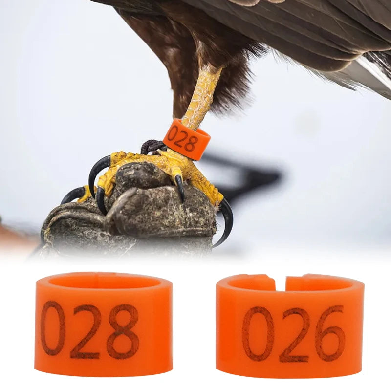 Anillos para Pies de Paloma y Aves de Corral – Pack 100