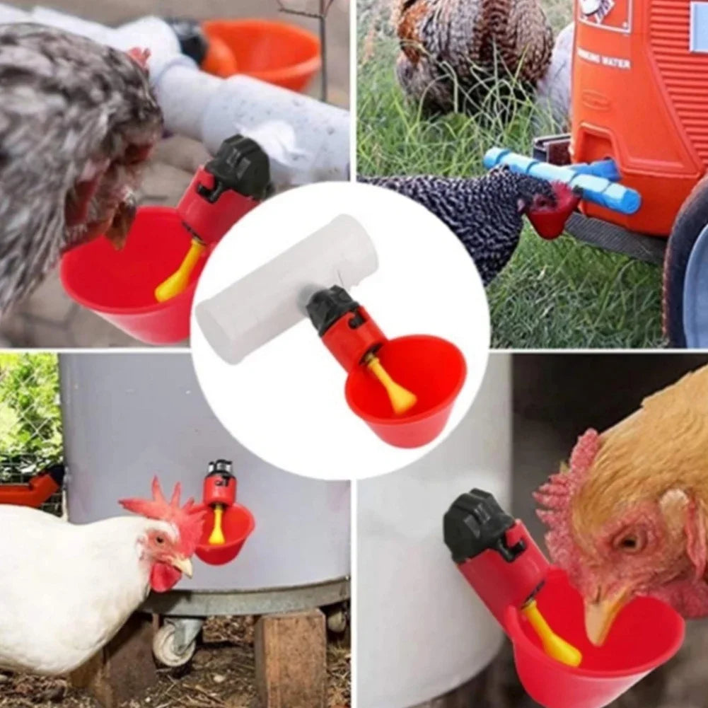 Copas Bebedero Automático con Conector T para Gallinas