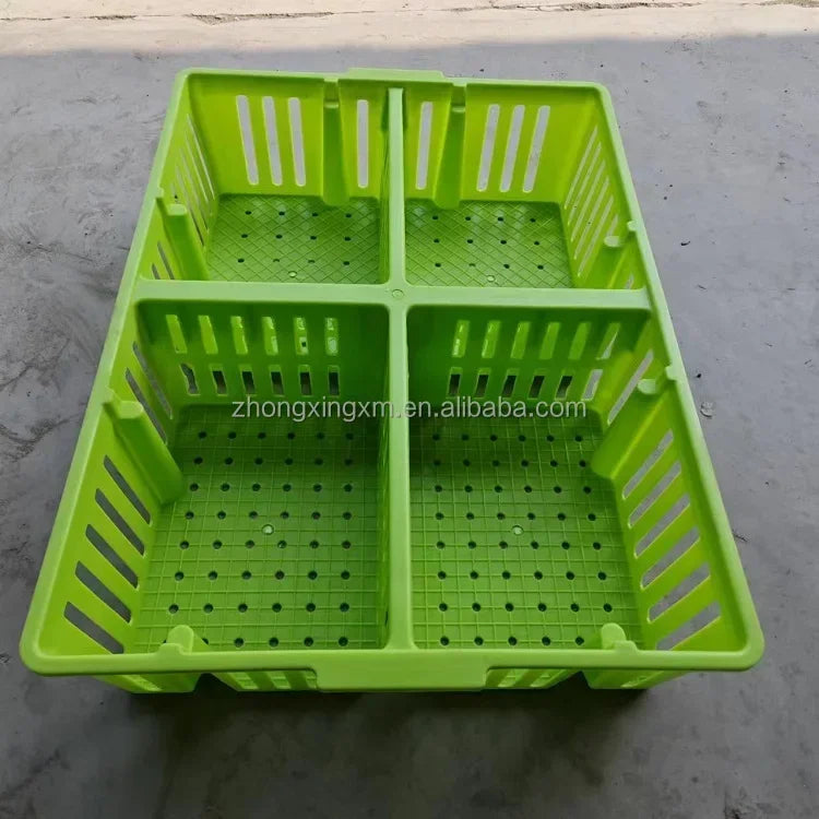 Jaula de Transporte de Plástico para Pollitos