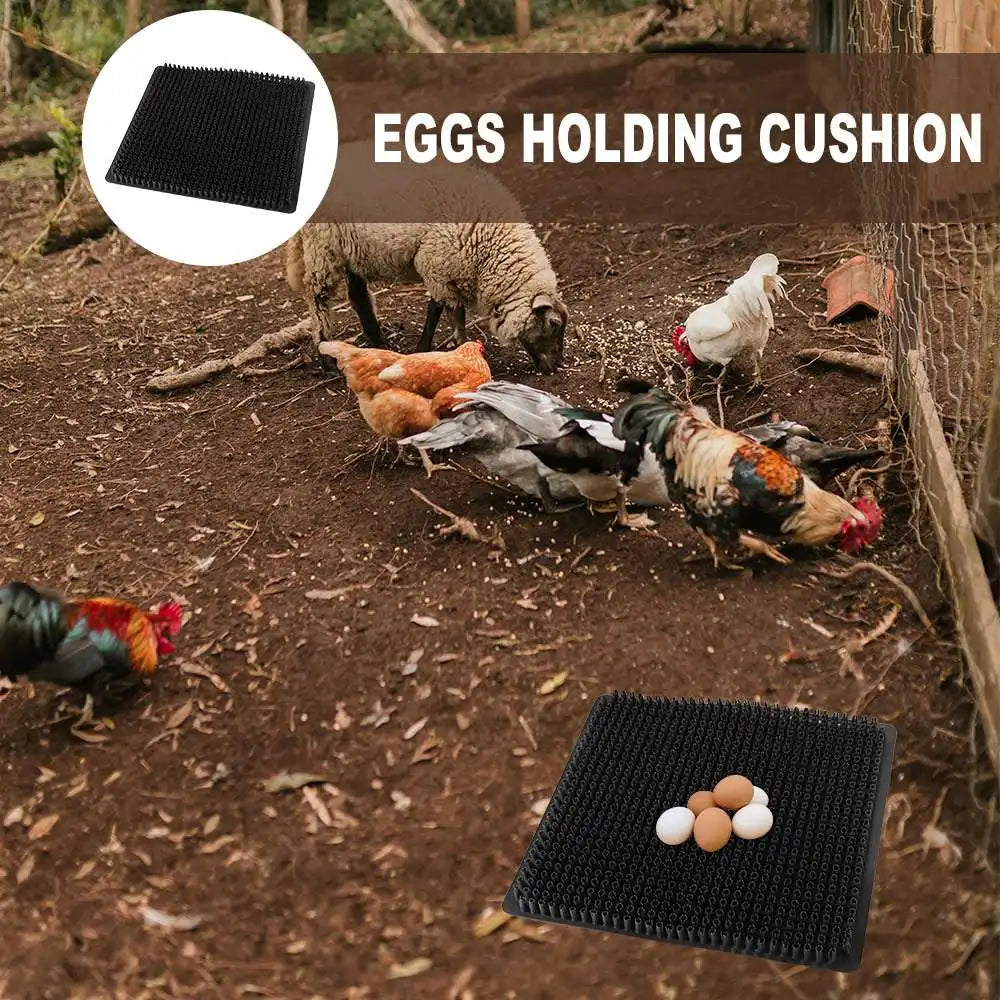 Almohadilla Plástica Lavable para Nido de Gallinas