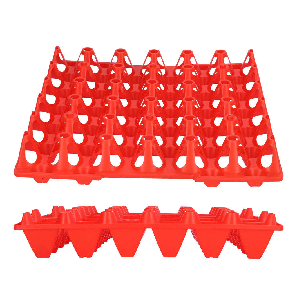 5Pcs Plastic Egg Storage Tray 11.3x11.1in 30 Cell Egg Crates Stackable Egg Holder for Storage Transportation Home Farm Supplies