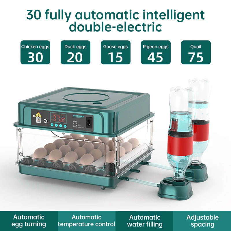 Incubadora de 9 a 48 huevos con volteo automático de huevos y control de humedad, incubadora de patos con cama de agua iónica automática.