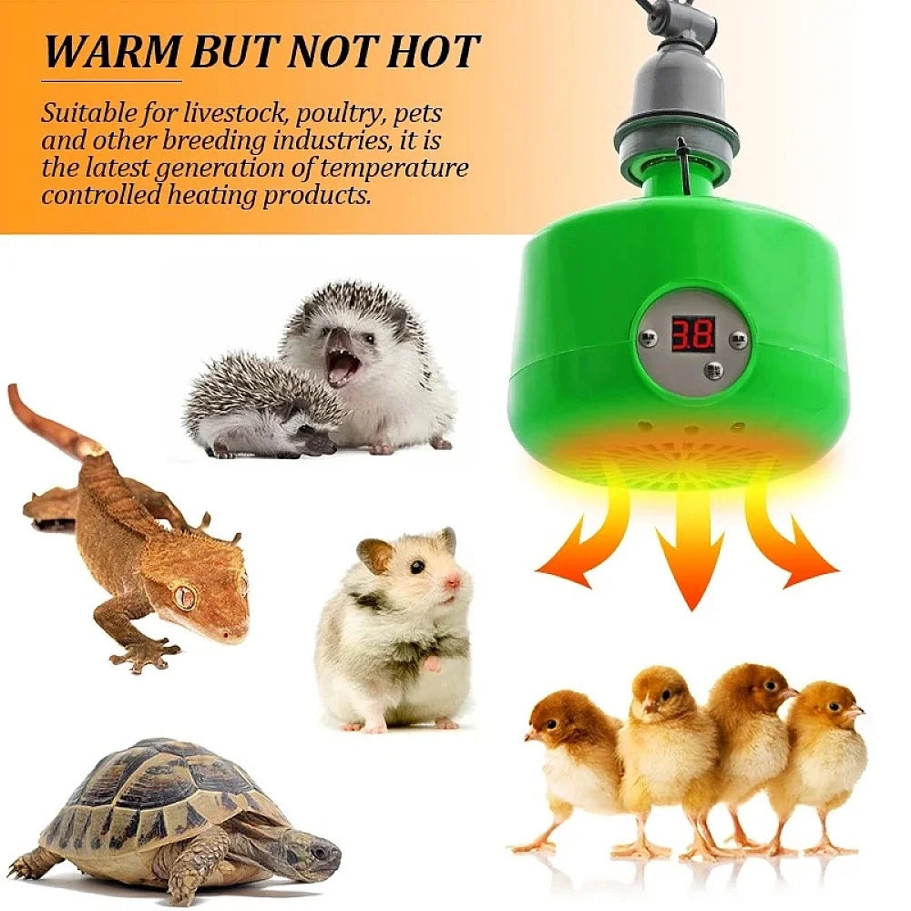 Lámpara Calefactora para Pollos y Mascotas 300W