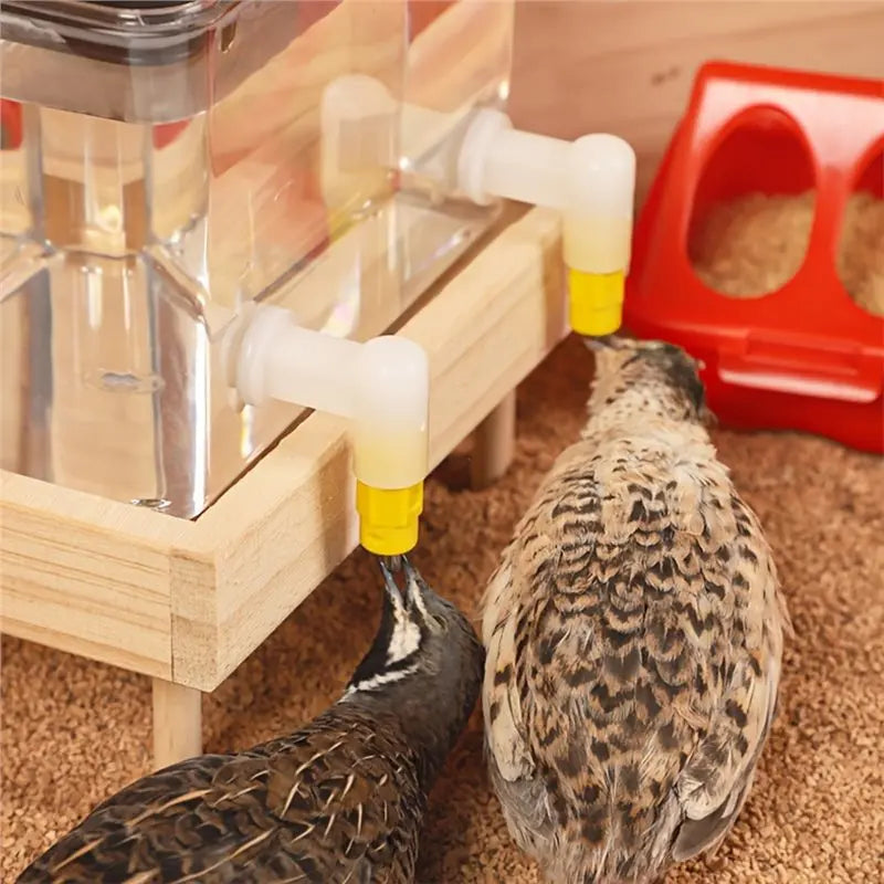 Bebedero Automático 800ml con Doble Boquilla para Gallinas