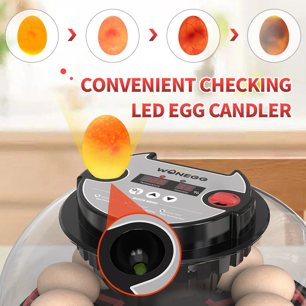 Incubadora Automática 12 Huevos con Giro y Pantalla para Gallinas