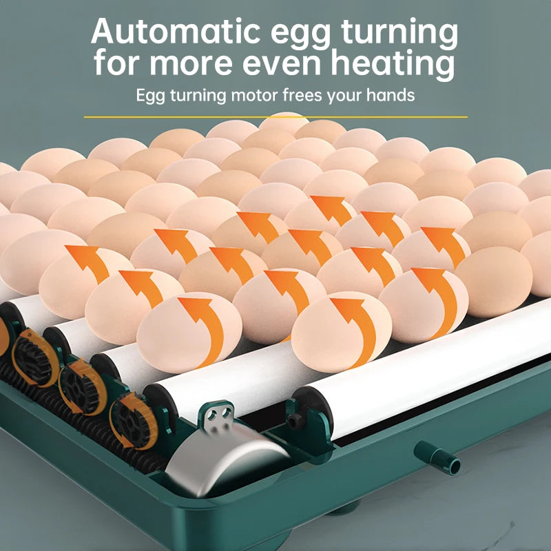 Incubadora de 9 a 48 huevos con volteo automático de huevos y control de humedad, incubadora de patos con cama de agua iónica automática.