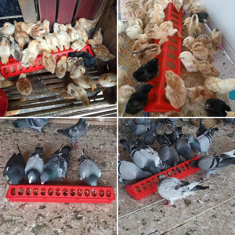 Comedero para Pollos con Tapa Abatible 50 cm