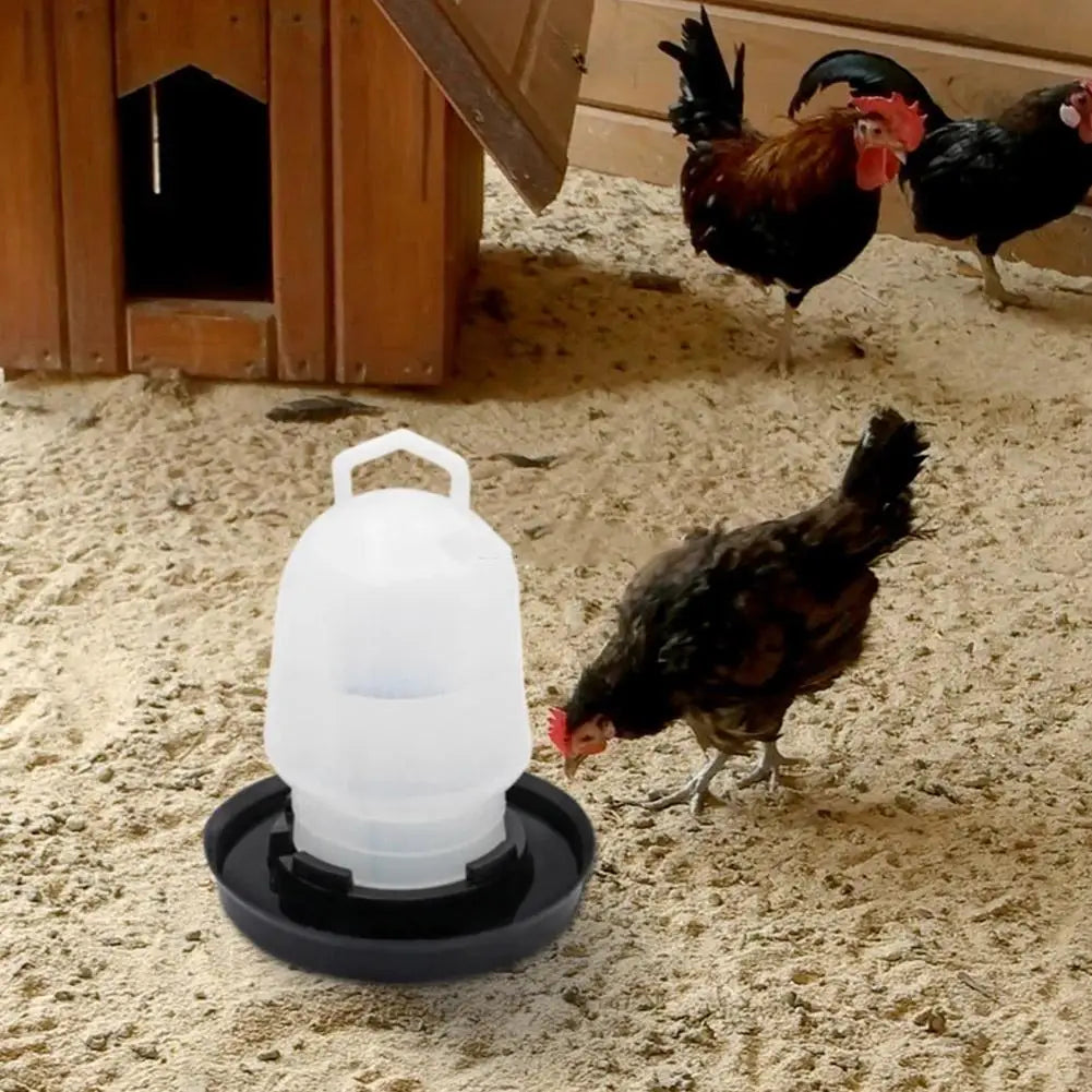 Bebedero Automático para Pollos 11,5x14,5 cm