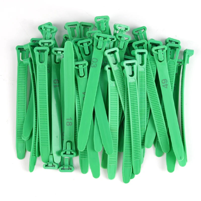 Anillos Ajustables para Patas de Pollo – Pack 50/100 Uds.