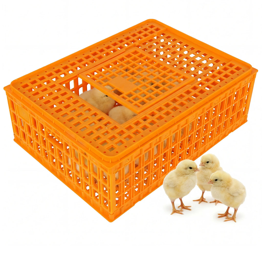 Caja de Transporte para Pollos – Pack 6