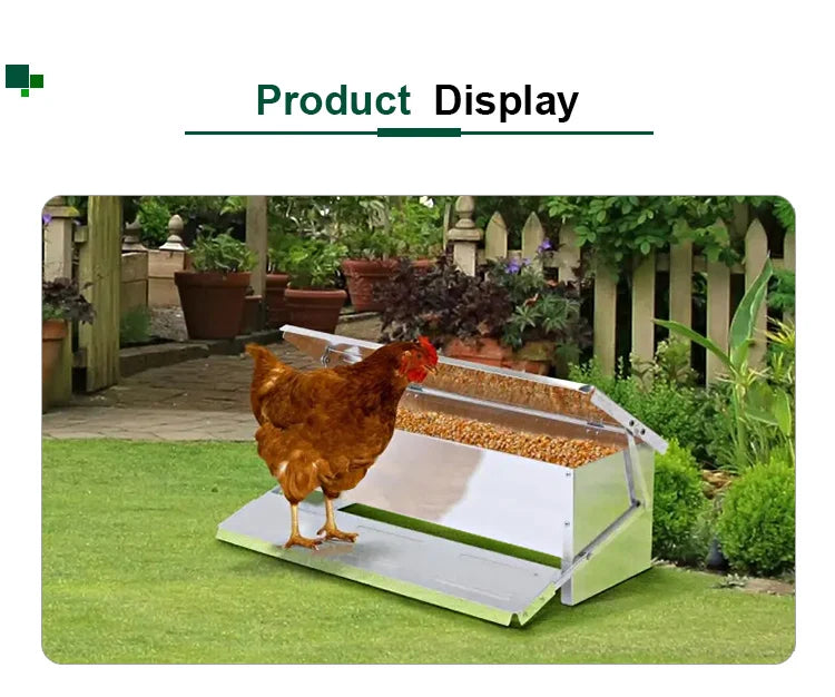 Comedero Automático para Pollos con Pedal