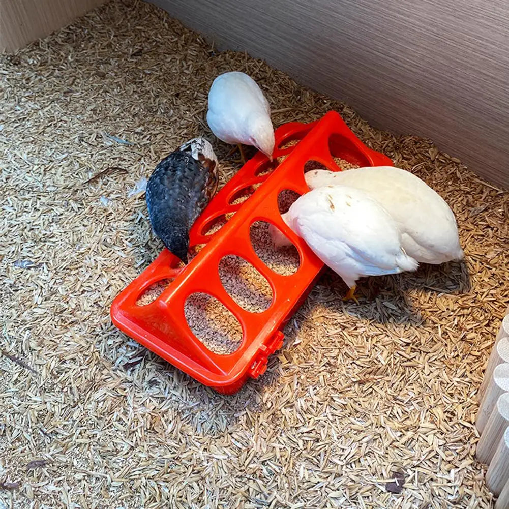 Alimentador y Bebedero Automático para Pollos