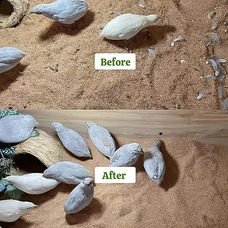 Pala de Acero Inoxidable para Gallinero con Mango Antideslizante