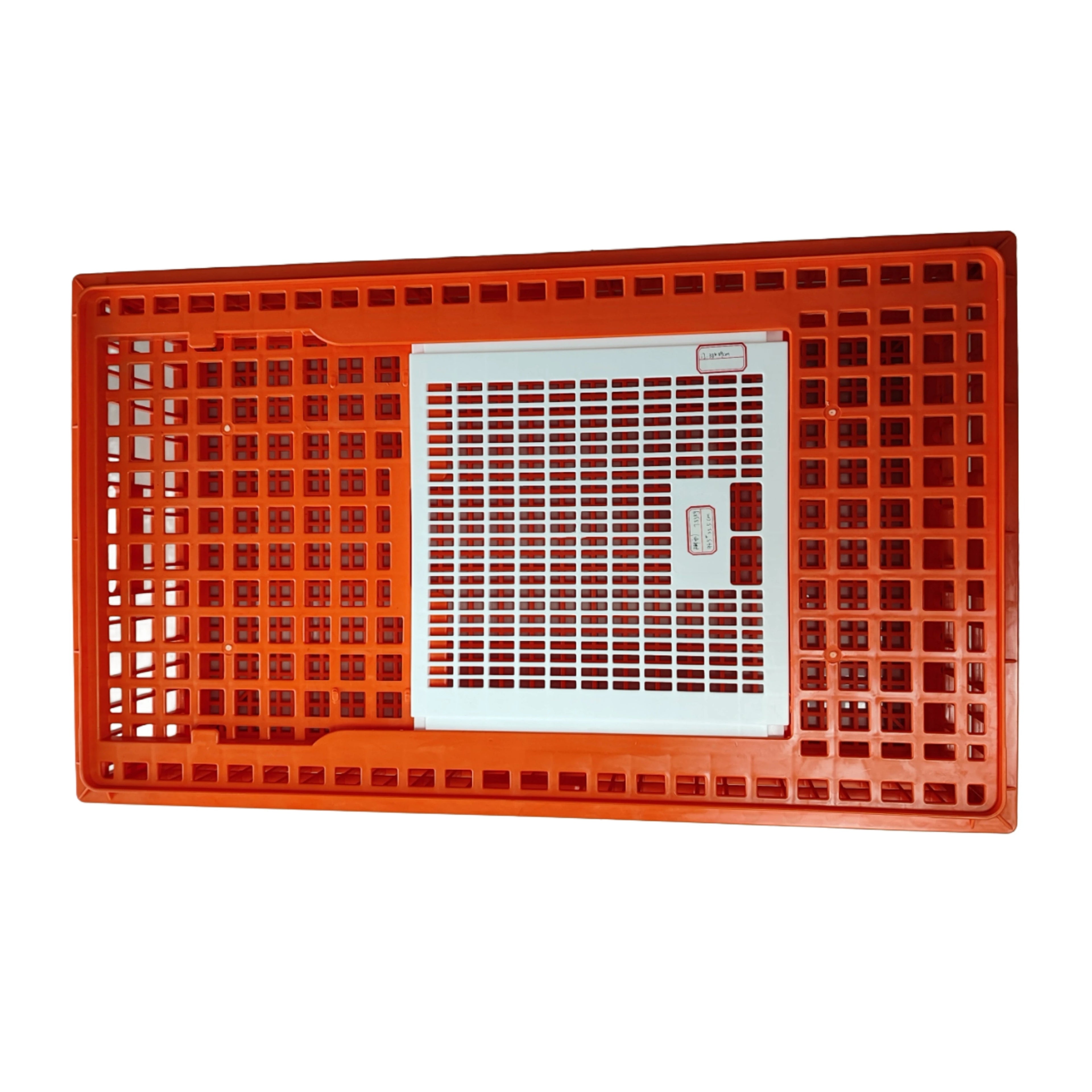 Caja de Transporte de Aves de Corral – 12 Unidades