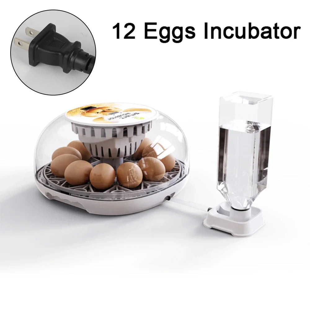 Incubadora de huevos de ganso y pollo pequeño para el hogar, agregue automáticamente el agua, Control inteligente de temperatura, 12 incubadoras