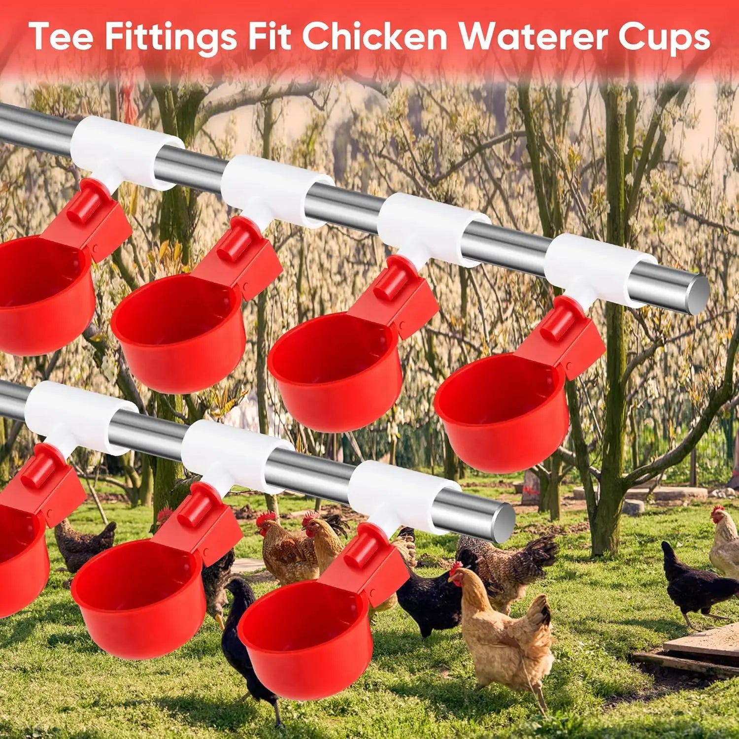 Copa Bebedero Automática con Conector PVC para Gallinas