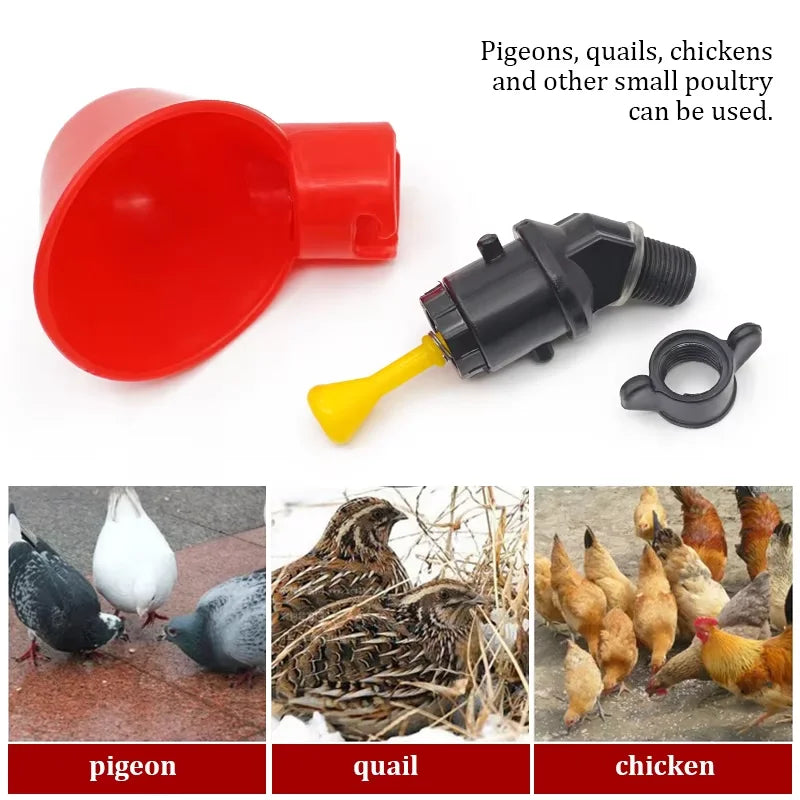 Tazas de Agua Automáticas para Pollos y Codornices