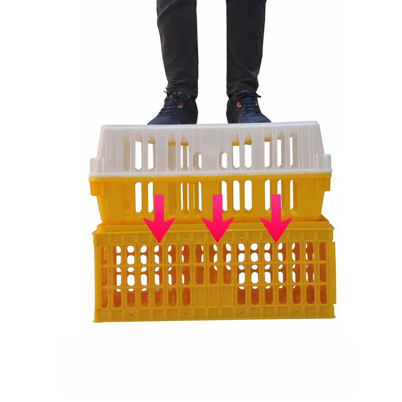 Jaula de Transporte para Pollos de Plástico