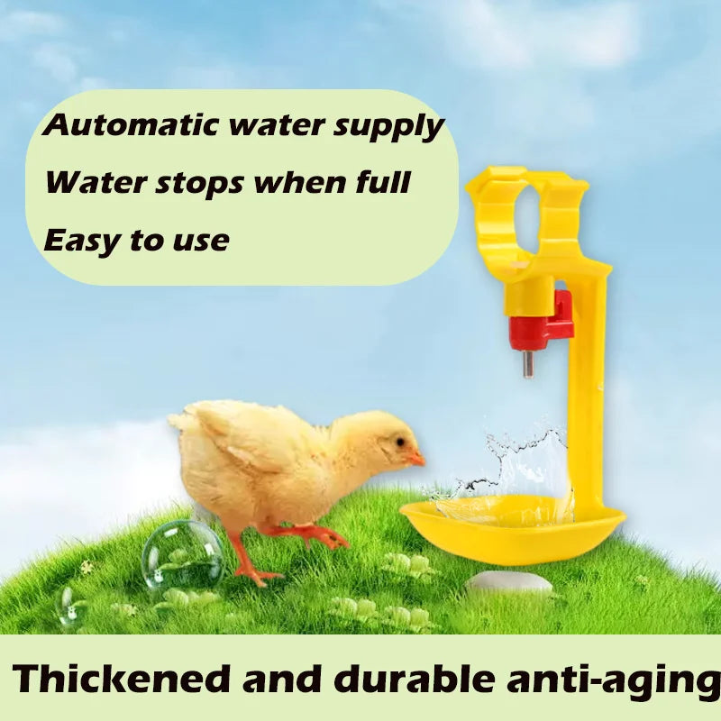 Tazas Automáticas Colgantes para Beber Agua de Pollo 5/10 Uds