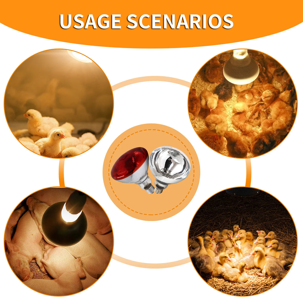 Lámpara Calor Infrarroja E27 para Aves