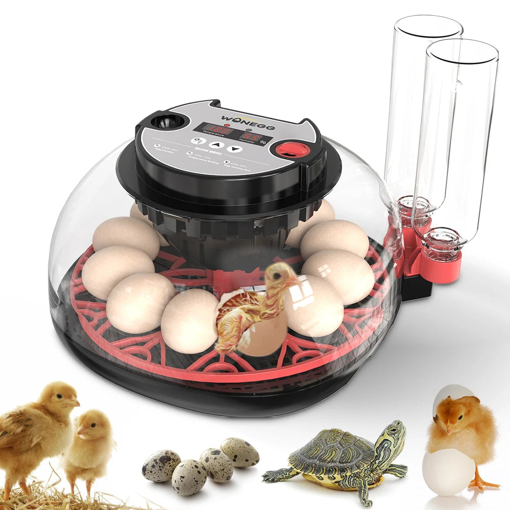 Incubadora Automática 12 Huevos con Giro y Pantalla para Gallinas