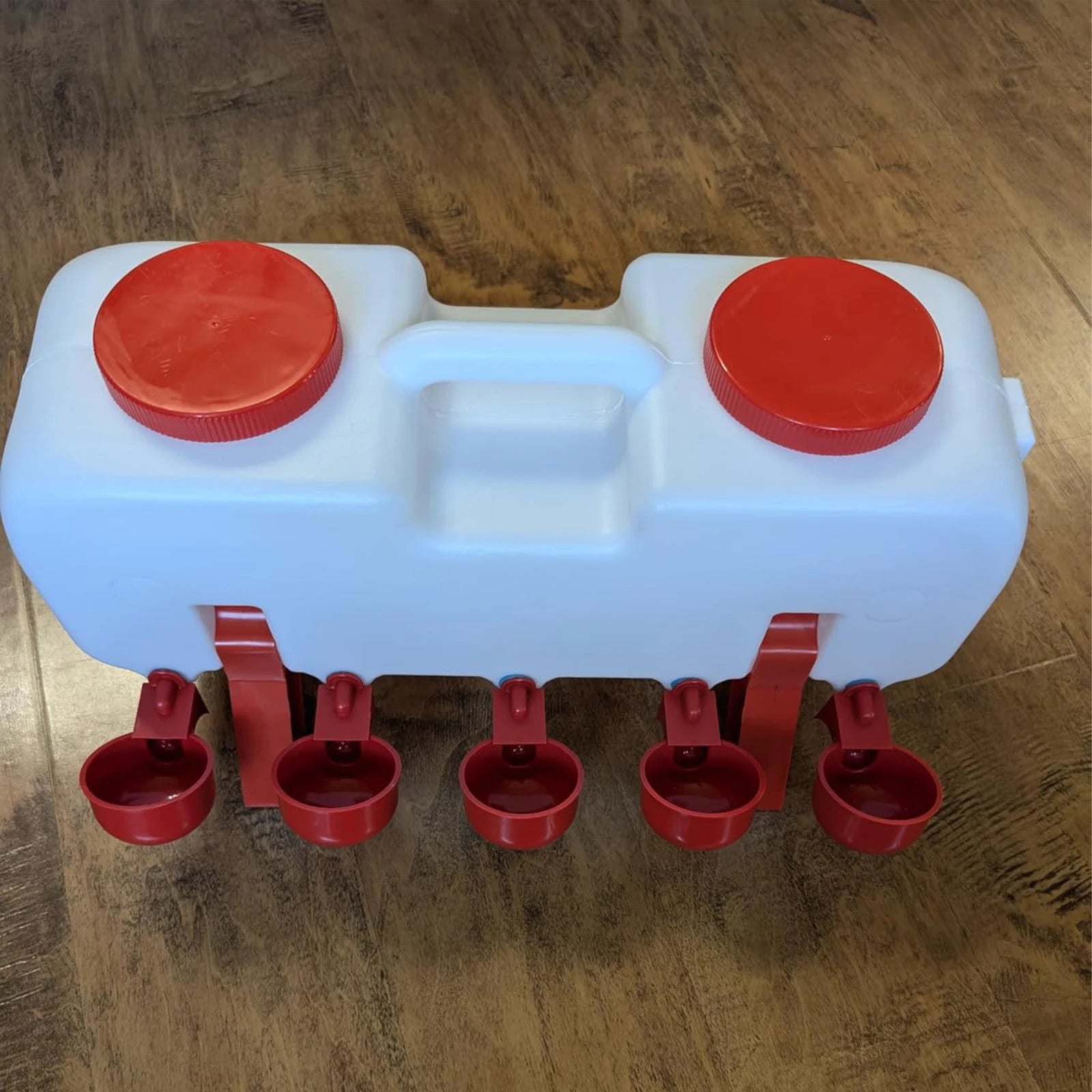 Bebedero Automático 10 kg para Pollos con 10 Vasos